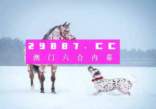 奥门一肖一码一中一详细解答、解释与落实、详细解答解释落实